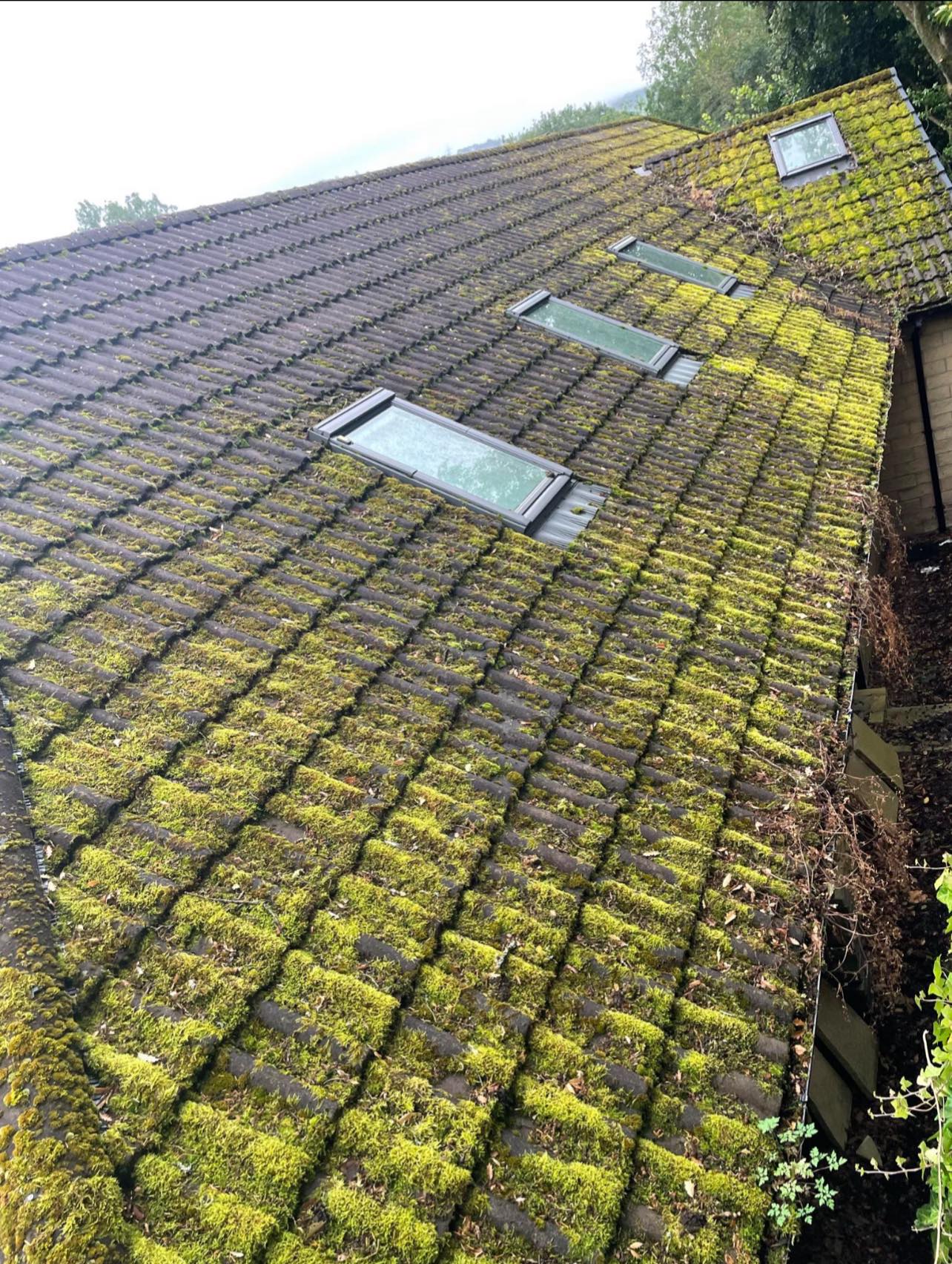 480323287_643842224832766_6767398774149842421_n