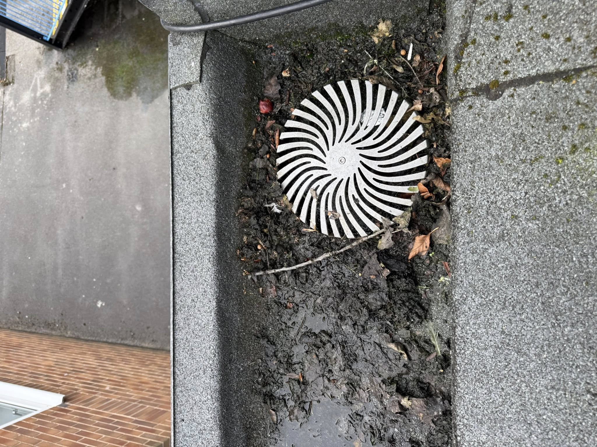 543094421_793323946551259_2135204171517057775_n