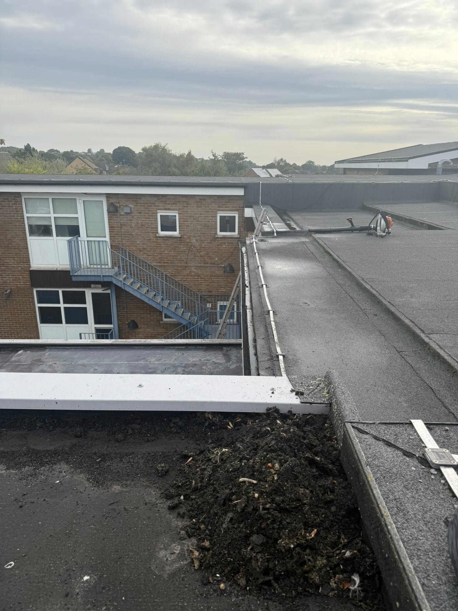 544381631_793324003217920_6029062302163662796_n