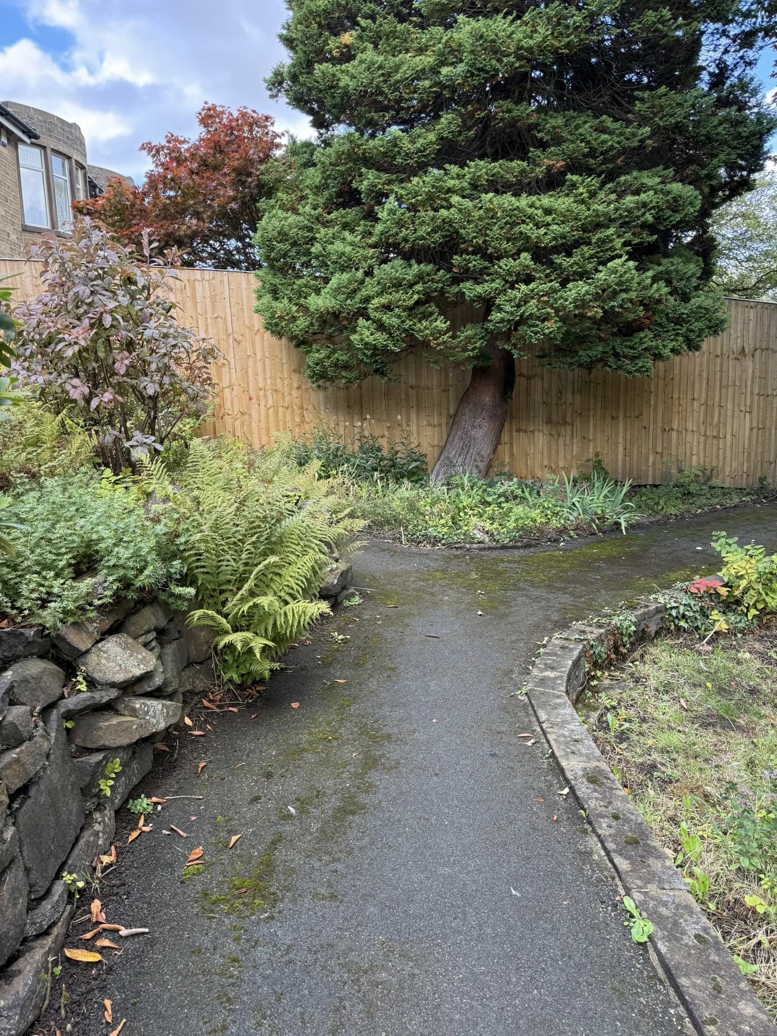 545595802_798442802706040_7275011670866583737_n